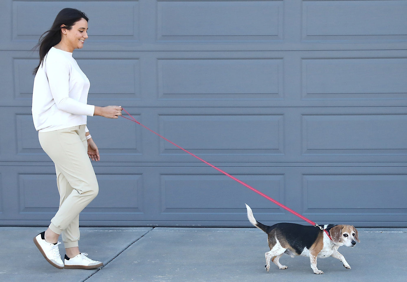 Best Leashes and Collars for Daily Walks: A Pet Parent’s Guide